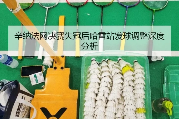 xin-na-fa-wang-jue-sai-shi-guan-hou-ha-lei-zhan-fa-qiu-tiao-zheng-shen-du-fen-xi-2-893.jpg